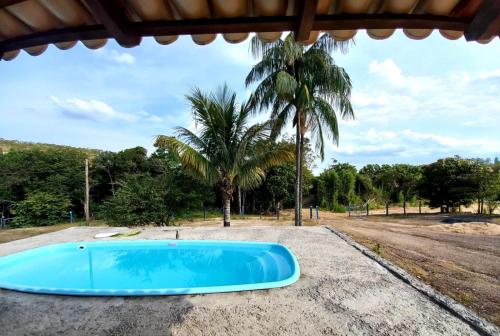 a blue swimming pool with a palm tree in the background at RANCHO PÉ DA SERRA in Capitólio