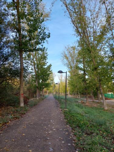 a path in a park with a street light at ALBERGUE CASA LAS ANGELITAS in Quel