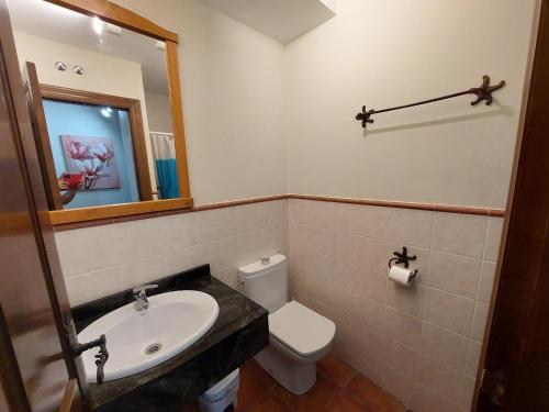 a bathroom with a sink and a toilet and a mirror at ALBERGUE CASA LAS ANGELITAS in Quel