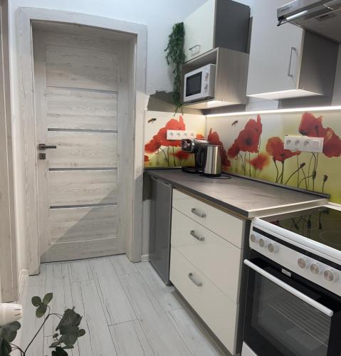 a small kitchen with a stove and a microwave at Apártmany v centre - vlastná izba so spoločnou kuchyňou a kúpeľnou môže byť zdieľaná 2 inými izbami in Martin
