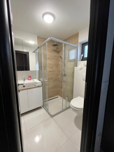 a bathroom with a shower and a toilet and a sink at Villa Ema in Pale
