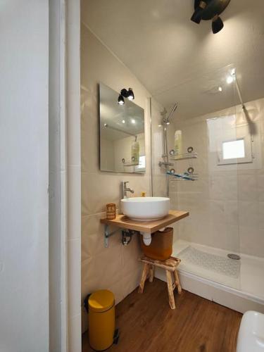 une salle de bain avec un lavabo et une douche dans l'établissement Charmant T2 atypique, rénové, à Béziers