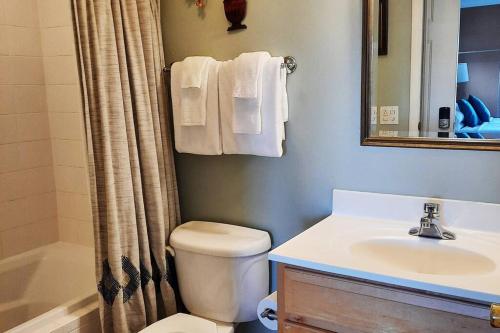 Ένα μπάνιο στο Little River Guest House at Tennessee RiverPlace