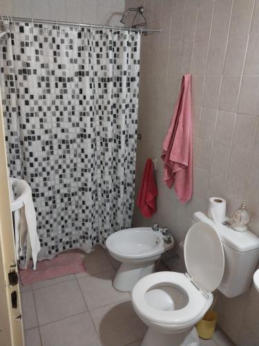 y baño con aseo y cortina de ducha. en departamento en san rafael mendoza en San Rafael