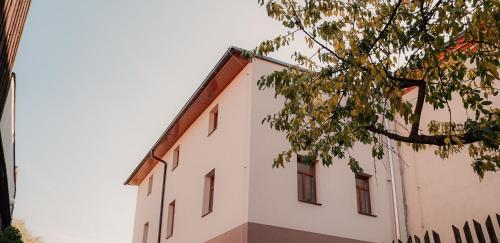 a white building with windows and a tree at Apartmány Centrum in Nový Bor