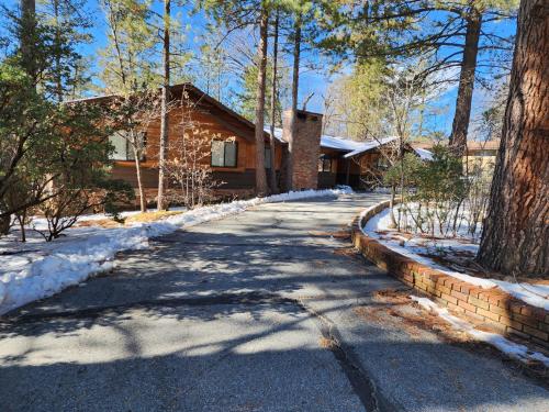 un camino que conduce a una casa en la nieve en Silver Pines Lodge en Idyllwild