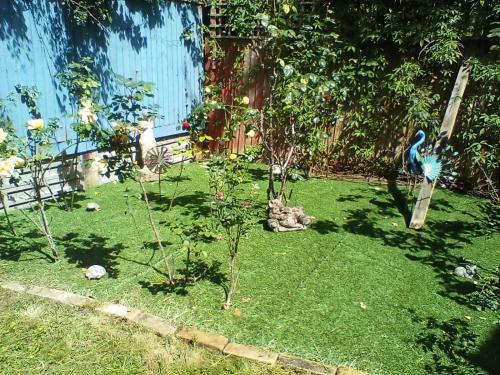 Κήπος έξω από το The Annex - Guest Gardens