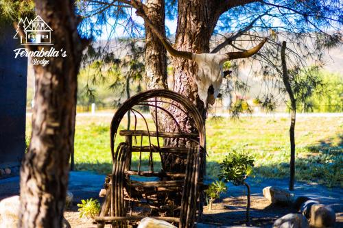 a tree with a cage in front of a tree at Fernabella's Lodge in Valle de Guadalupe