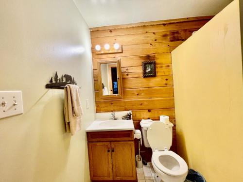Baño pequeño con aseo y lavamanos en Good Life Cabin 1, en Bryson City