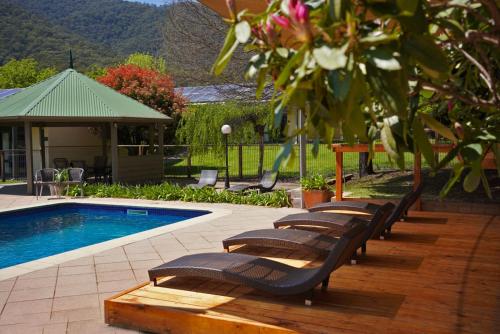 a row of lounge chairs next to a swimming pool at Harrietville Hotel Motel in Harrietville