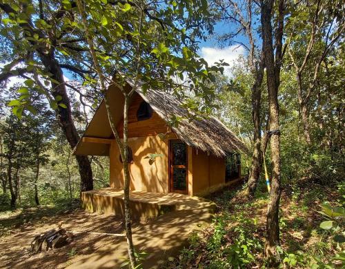 La CurvaにあるLa Montaña Parque Naturalの森の真ん中にある小さな家