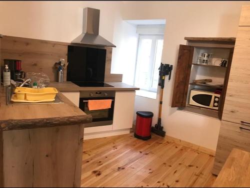 une cuisine avec un évier et une cuisinière four supérieur dans l'établissement Sur les rochers du lac & location-rando en VTT, à Villefort