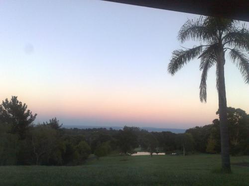 a palm tree in a field at sunset at Relaxin in Dural