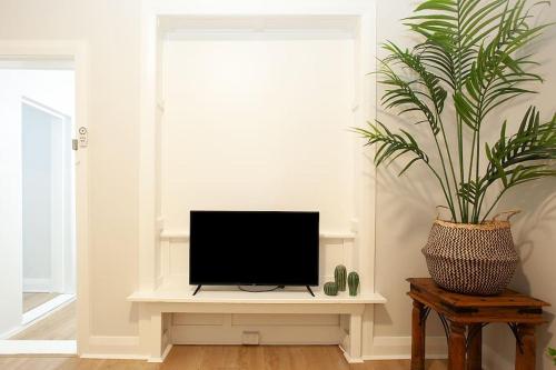 a tv sitting on a table in a living room with a plant at Large 4 Bed Beachside Haven 50m to Bondi Beach in Sydney