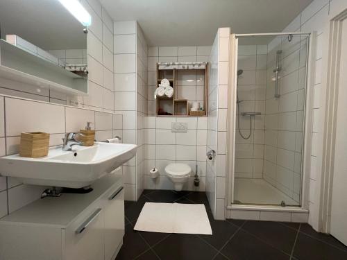a bathroom with a sink and a toilet and a shower at Walensee Apartment, Lakeside Dream in Unterterzen