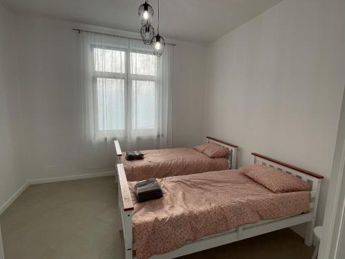 a bedroom with two beds and a window at Racers' Home in Balş