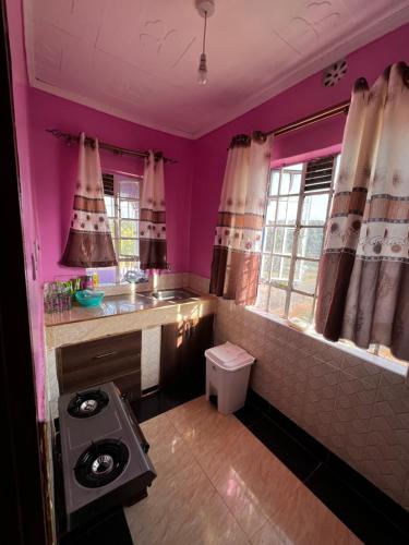 Caroline’s property في Oyugis: حمام أرجواني مع حوض ومرحاض
