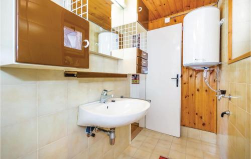 a bathroom with a white sink and a mirror at Pet Friendly Home In Kastav With Kitchen in Kastav
