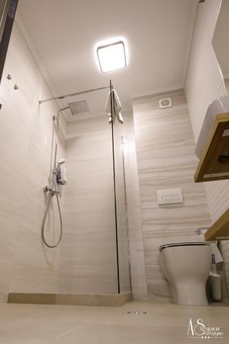 a bathroom with a shower and a toilet at Pensiunea AS in Floreşti