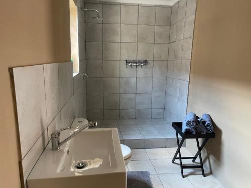 een badkamer met een douche, een wastafel en een toilet bij 3 Schnehage Guesthouse in Welkom