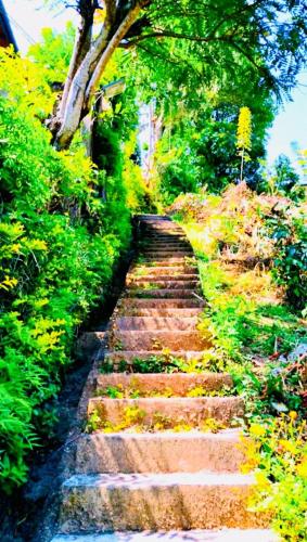 a stone path in the middle of a garden at Broad view in Ella