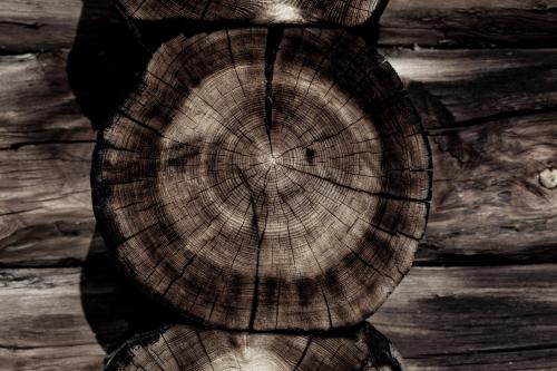 a wooden tree stump with a persons face at Levin Alppitalot Alpine Chalets Deluxe in Levi