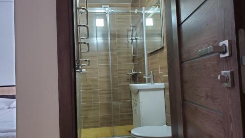 a bathroom with a toilet and a glass shower at SPA Resort Villa Sofia in Yablunytsya