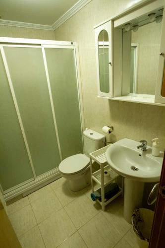 a bathroom with a shower and a toilet and a sink at CASA DANIELA APARTAMENTOS-The pilgrim's house apartments in Estella