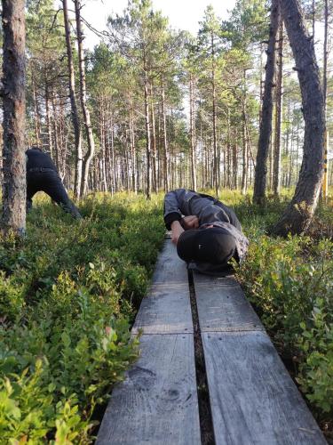 a person laying on a wooden path in the woods at Uuejärve house at Kõrvemaa forest in Pillapalu