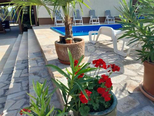 a patio with red flowers and plants and a pool at Papp Vendégház in Balatonederics