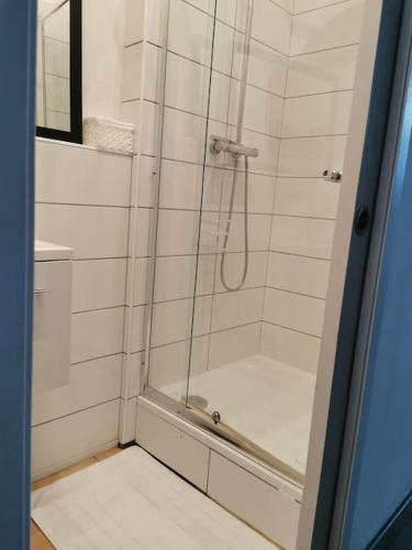 une douche avec une porte vitrée dans une salle de bain dans l'établissement La Boutique Studio centre ville, à Auch