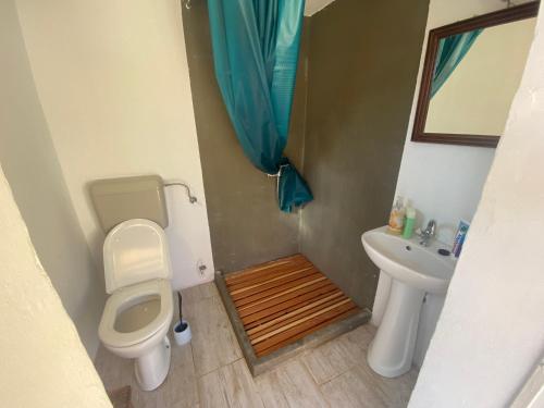 La salle de bains est pourvue de toilettes et d'un lavabo. dans l'établissement Blue Abyss Apartment, à Susak