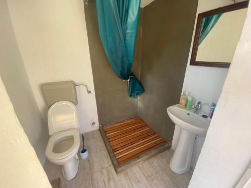 ein Bad mit einem WC und einem Waschbecken in der Unterkunft Blue Abyss Apartment in Susak