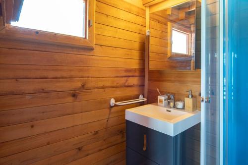 La salle de bains est pourvue d'un lavabo et d'un mur en bois. dans l'établissement Camping maeva Escapades Les Lacs d'Armagnac, à Bretagne-dʼArmagnac