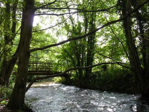 a bridge over a stream in a forest at The Pack Horse Exmoor National Park Allerford Riverside Cottage & Apartments in Minehead