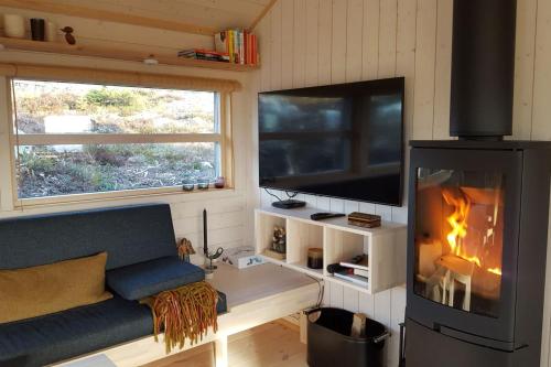 a living room with a fireplace and a tv at Myrullen - Cabin at Sørbølfjellet in Flå