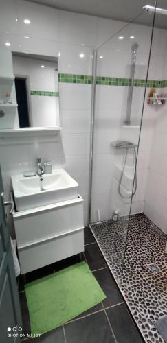 une salle de bain avec un lavabo et une douche dans l'établissement CŒUR MENOU, Radis'son & PARKING, à Nantes