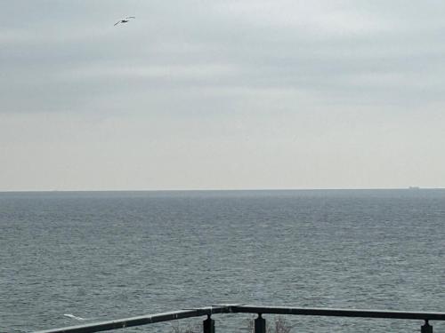 a bird flying in the sky over the ocean at Taşliman Otel in Yalova