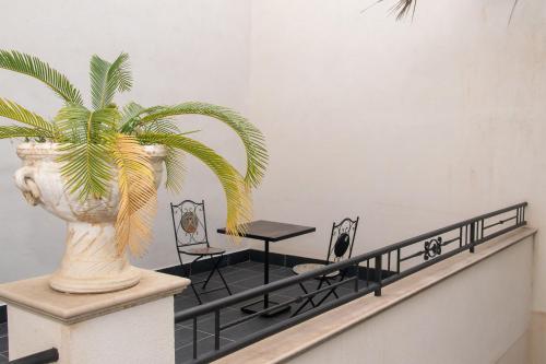 a plant in a vase sitting on a railing at Diegohousesleepaway in Vittoria