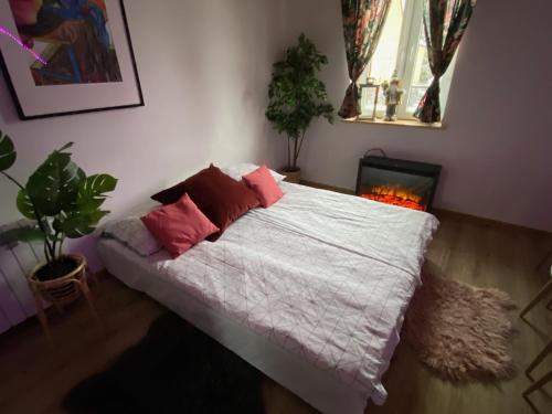 Agroturystyka Siedlisko