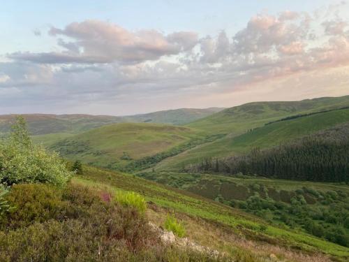 a view of a green hillside with trees and mountains at Lovely little house in Yarrowford - Yarrow Valley in Broadmeadows