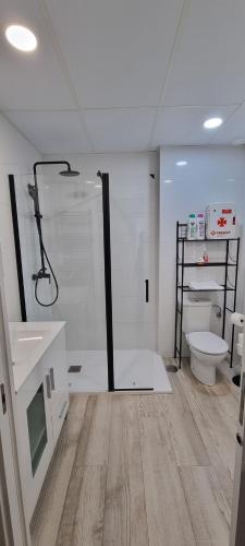 a bathroom with a toilet and a shower and a sink at APTO TANEZ NEW YORK STYLE, a in Madrid