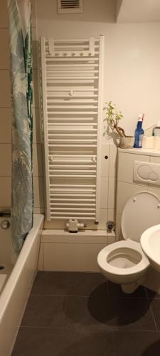 a bathroom with a toilet and a shower and a sink at 7 Betten Apartment Messewohnung Monteurwohnung im Stadtzentrum in Hannover