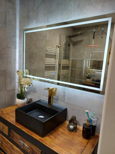 une salle de bain avec un lavabo noir et un miroir dans l'établissement Apppartement Cosy 72m2, à Tarbes