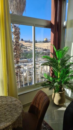 a room with a window with a plant and a table at Jerusalem Panorama Hotel in Jerusalem