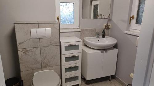 Baño blanco con lavabo y aseo en Ferienvilla-mv, en Linstow