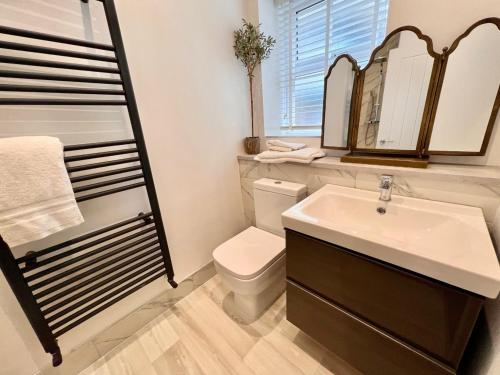 a bathroom with a sink and a toilet and a mirror at Rose Cottage at The Stables in Stannington