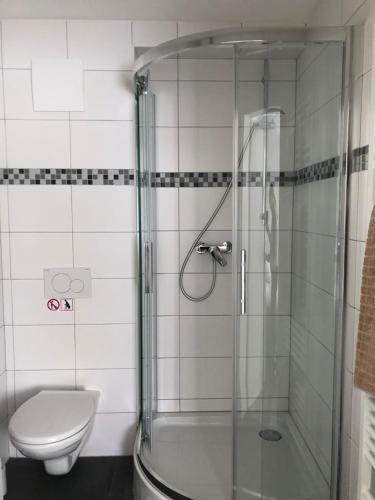 a bathroom with a shower and a toilet at Apartmentvermietung Ingrid Bolkart - Vöhlino 2 in Illertissen