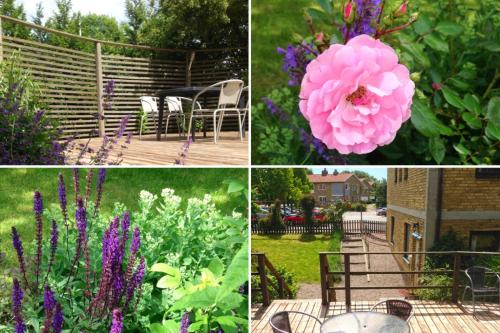 four different pictures of flowers in a garden at Aurora Bed & Breakfast in Simrishamn