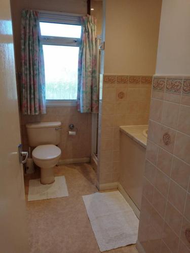 a bathroom with a toilet and a window at Glen Dhoo Country Cottages - Meadowview Bungalow in Onchan
